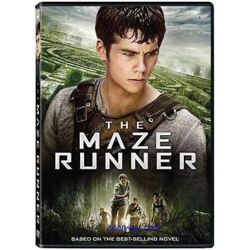 The Maze Runner (2014) [DVD]