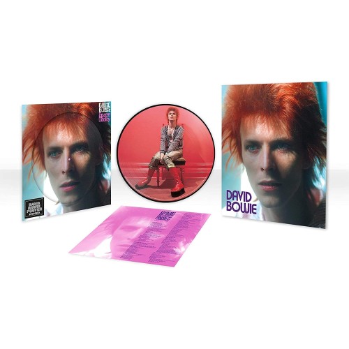 Space Oddity [VINYL]