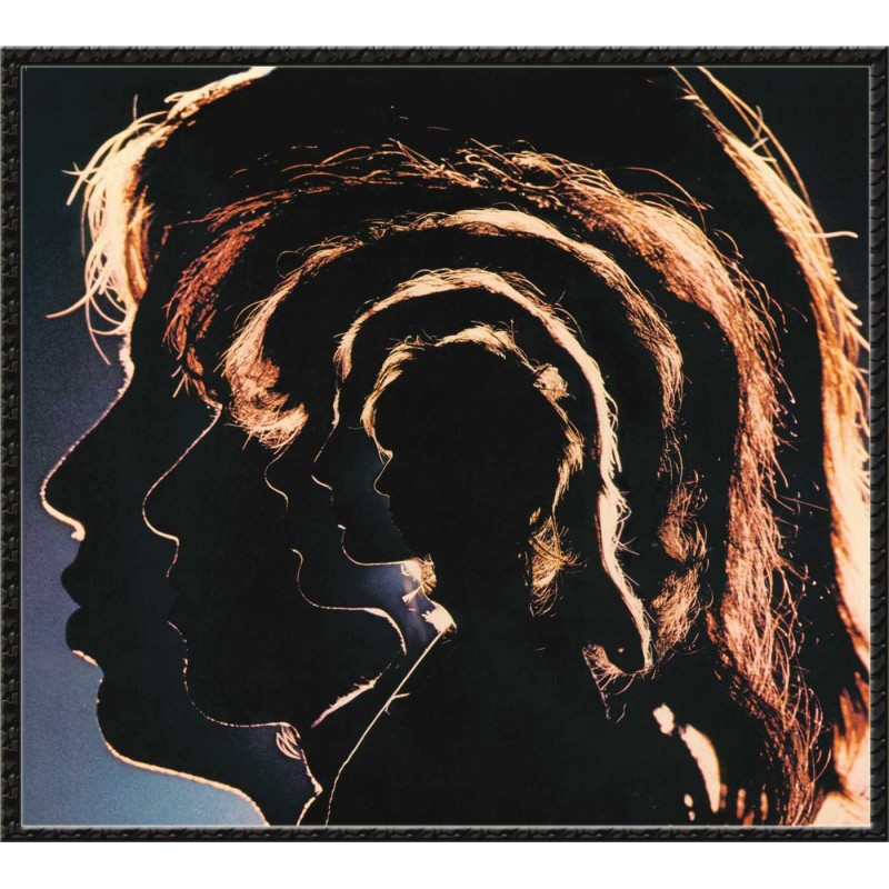 Hot Rocks 1964-1971 [2Lp Vinyl]