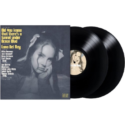 Did you know that there's a tunnel under Ocean Blvd (2Lp) [Vinyl] 