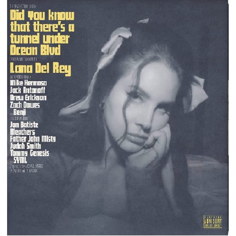 Did you know that there's a tunnel under Ocean Blvd (2Lp) [Vinyl] 