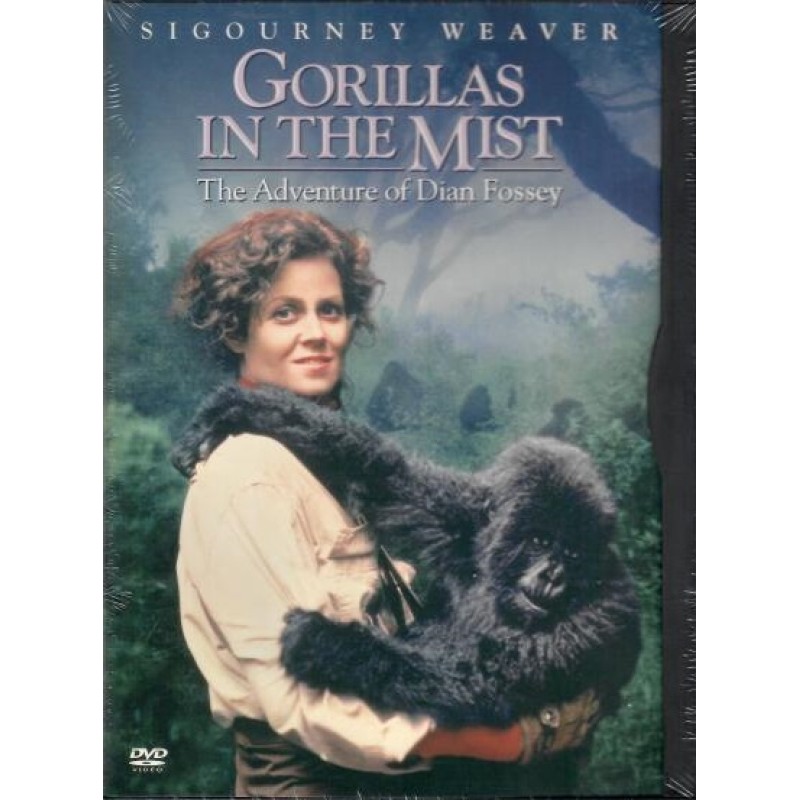 Γορίλες στην ομίχλη DVD