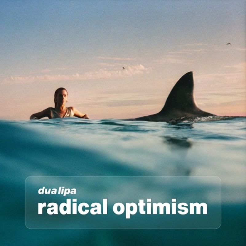 Dua Lipa - Radical Optimisim [Vinyl]