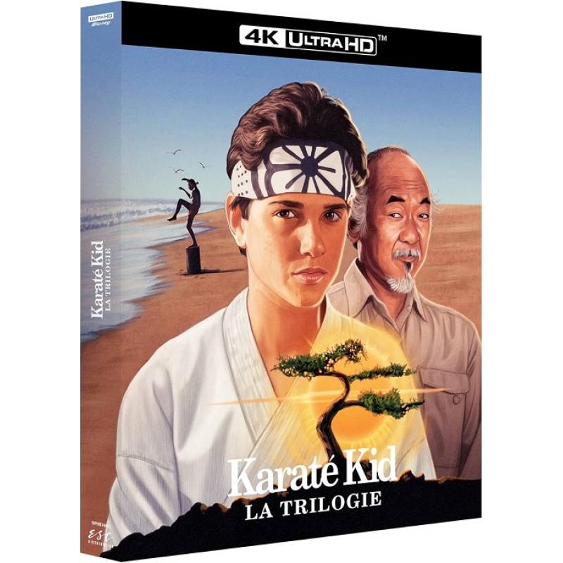 The Karate Kid movies collection 1-3 [4K Ultra HD]