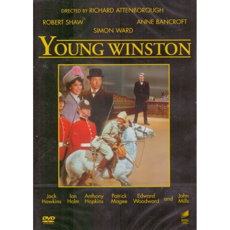 Τα ταραγμένα χρόνια ενός γίγαντα DVD