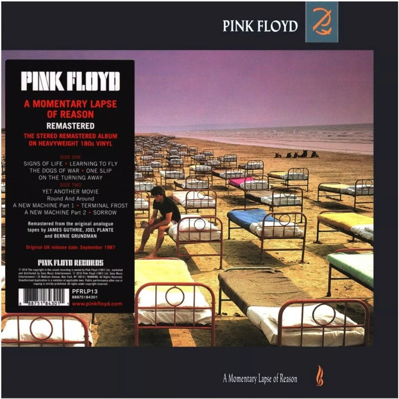 Pink Floyd - Momentary Lapse of Reason (Vinyl LP)
